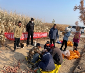 微信图片_20251017154409