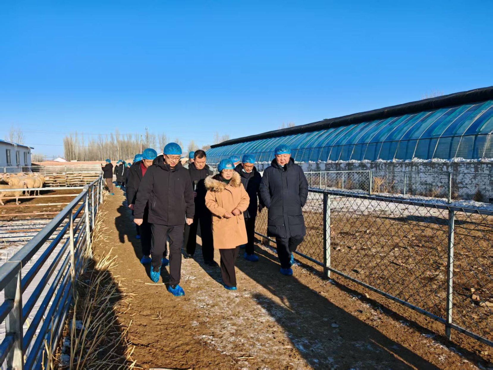 6f76191eb5f63240373bd31c20ff42a7