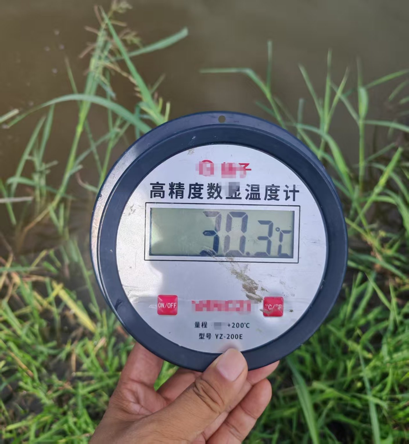 市农牧技术推广中心开展暑期高温水产养殖技术指导(图1)